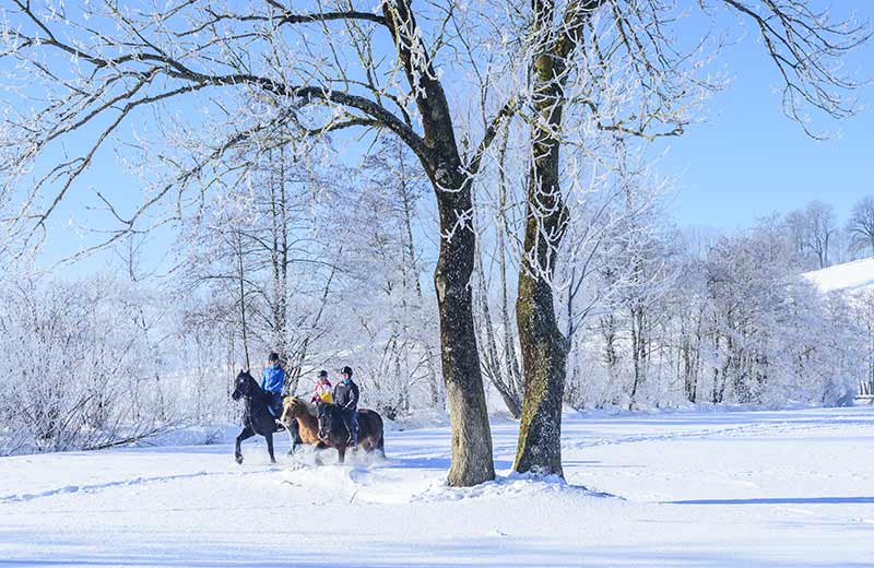 Dein Urlaub auf dem Bauernhof