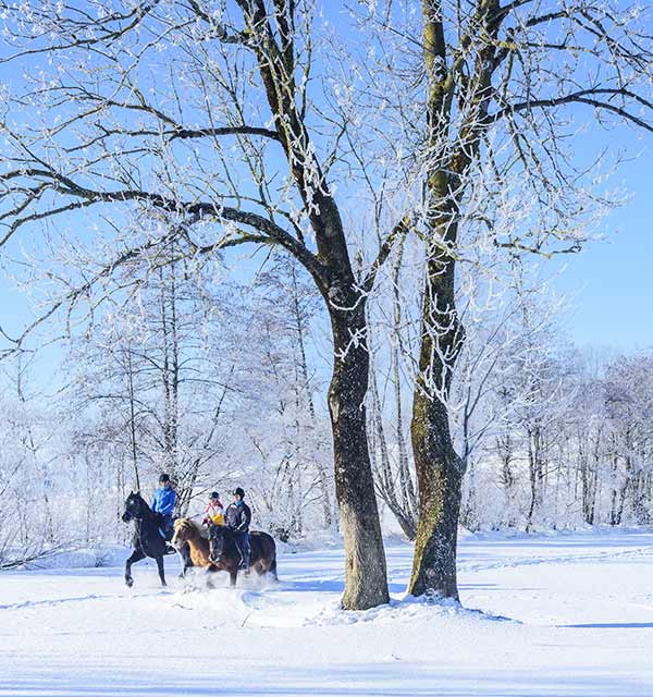 Urlaub auf dem Bauernhof