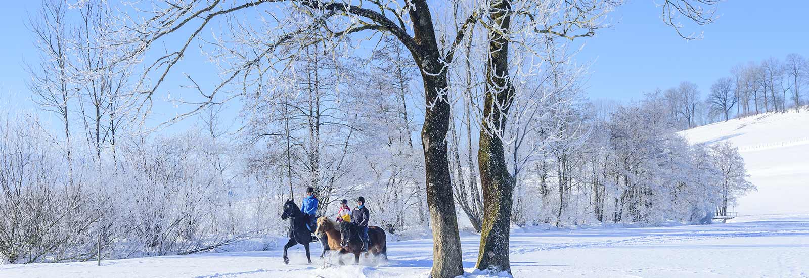 Urlaub auf dem Bauernhof